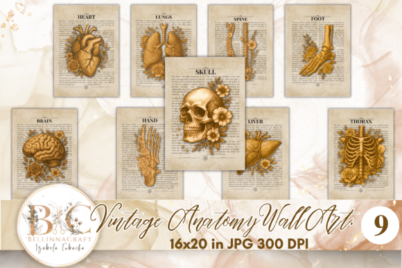Download Vintage Anatomy Human Body Wall Art Set - Set Collection